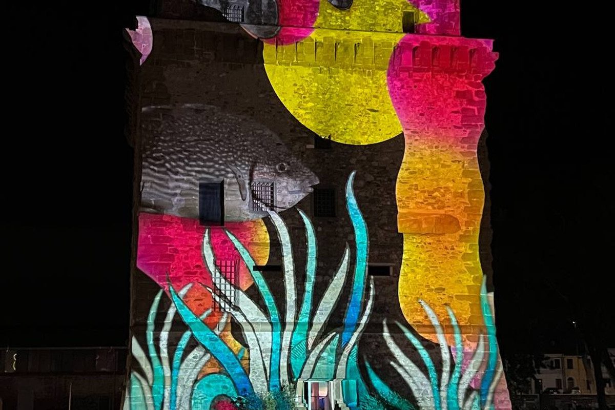 Matilde - pubblico durante lo spettacolo di video mapping