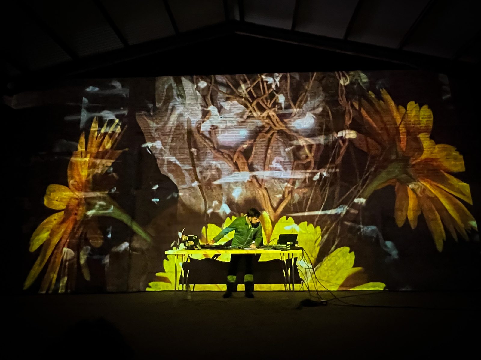 Dettaglio della proiezione sulla deforestazione globale