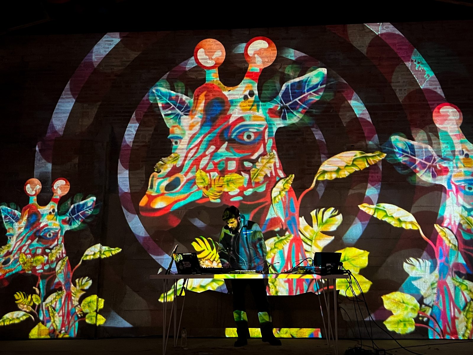 Animazione sul consumo di suolo e inquinamento chimico