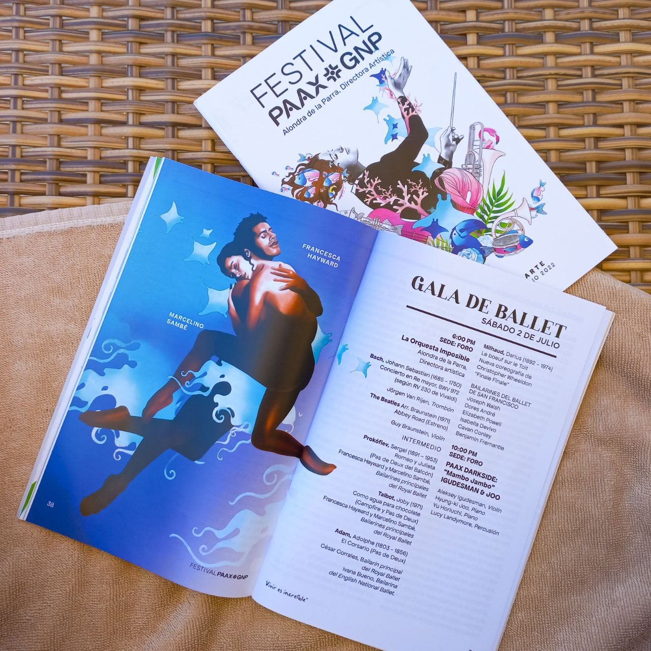 Applicazione grafica su supporti espositivi Festival Paax